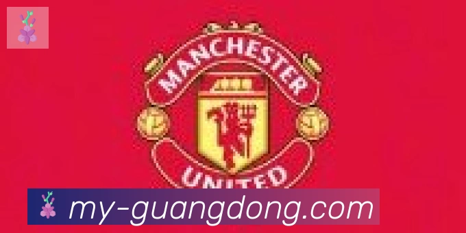 广东体彩合作伙伴